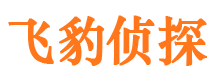 城口市侦探